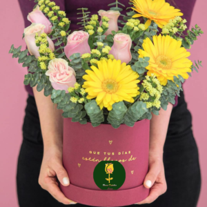 BOX con gerberas